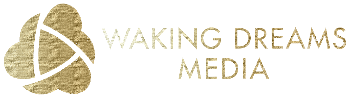 Waking Dreams Media Explainer Videos Cork Kerry