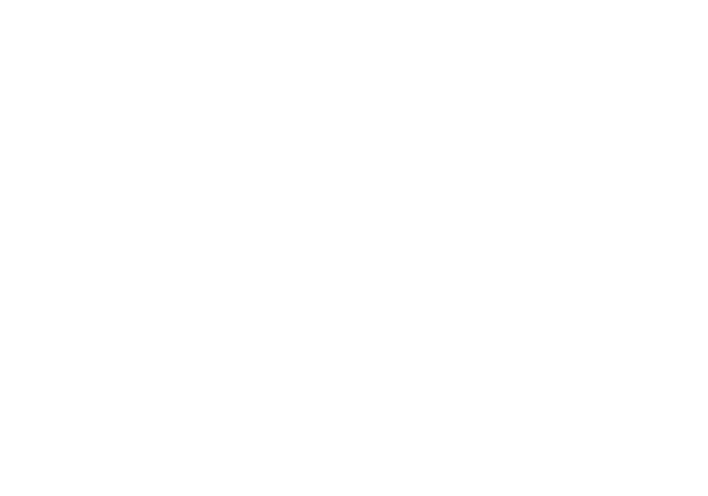 logo sfi